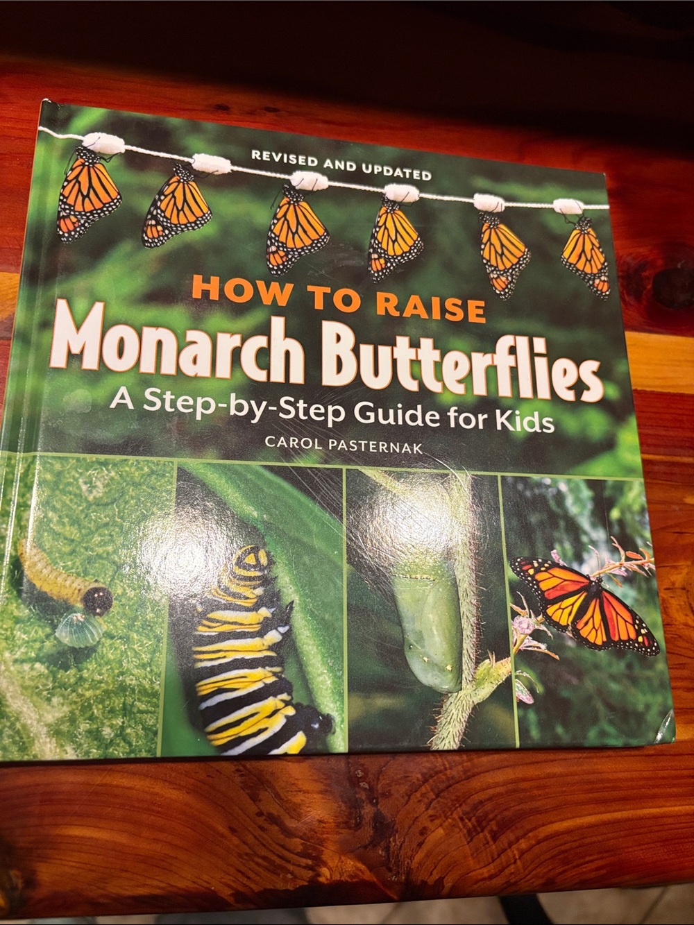 How to Raise Monarch Butterflies - Kids Guide (Green/Orange)
